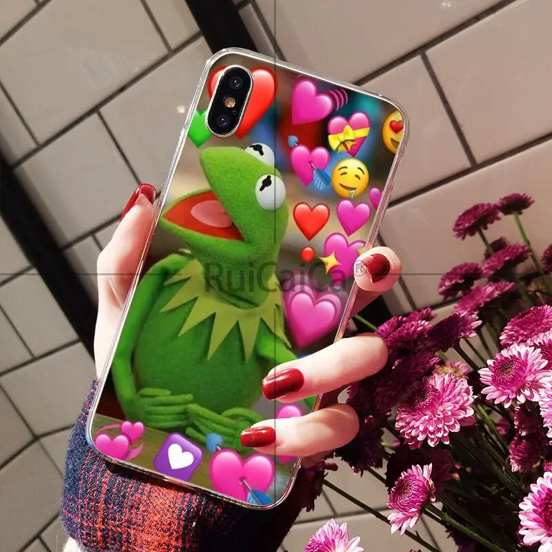 Kermit the Green frog Funny Cute Gay