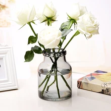 Современный Творческий красочные пузырь стеклянная ваза прозрачная бутылка гидропоники контейнеры горшок Свадебные украшения дома завод ваза