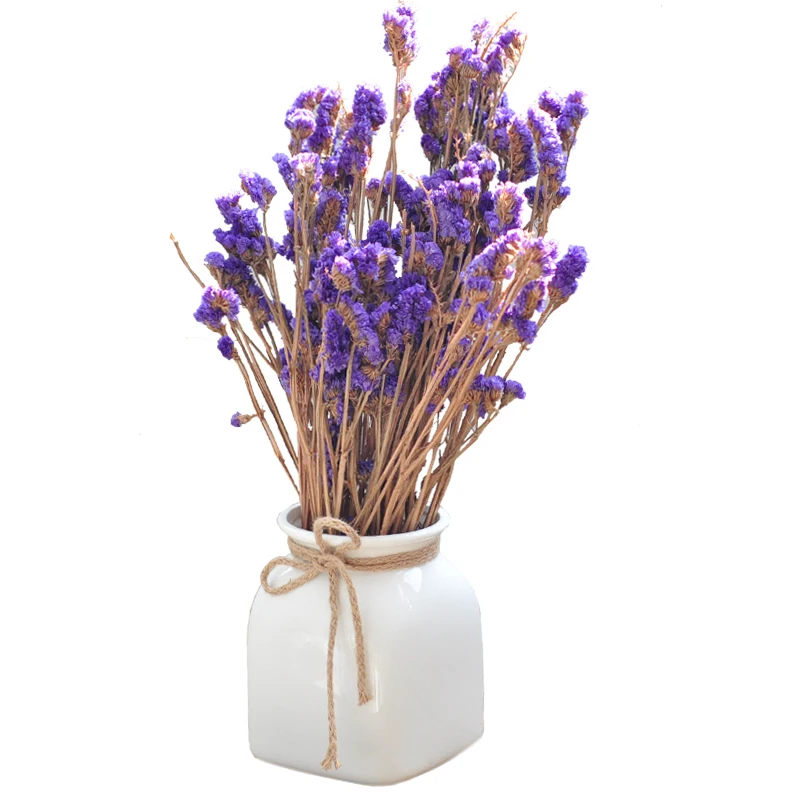 

Ev Ceramic Vasi Decorativi Teraryum Jarrones Decorativos Moderno Home Decoration Accessories Modern Vaso De Flor Flower Vase