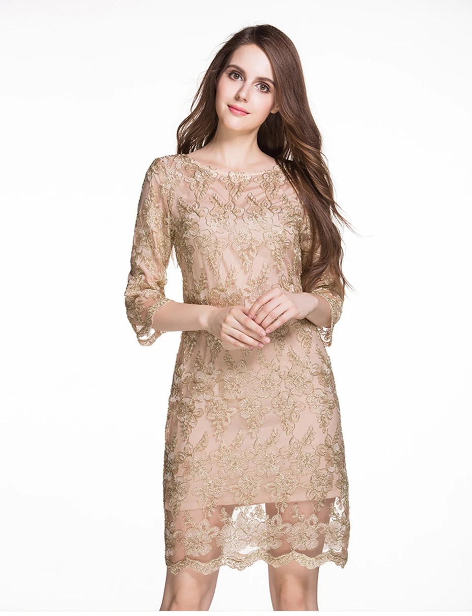 TAOYIZHUAI осеннее кружевное женское платье винтажное милое элегантное вышитое выше колена комбинированное платье размера плюс женское кружевное платье 14008