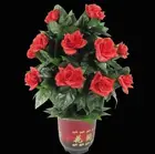 Best Price as low as $199.99 Free shipping! Remote-Control Blooming Flower Bush 20 Flowers,Stage Magic Tricks,Party Magic,Fun,Accessories,Mentalism,Comedy