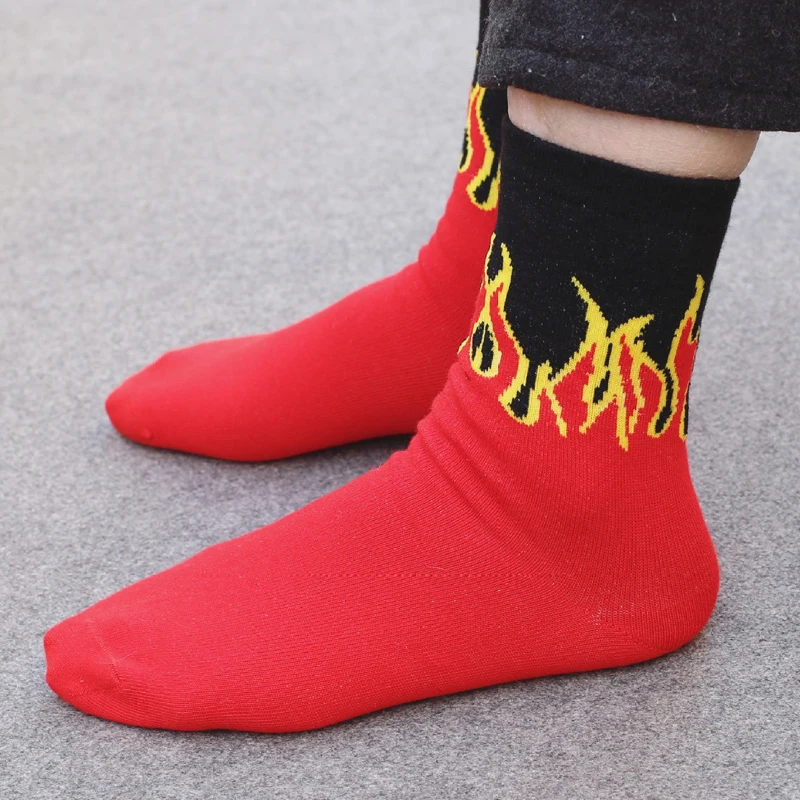 3703558028_866082455