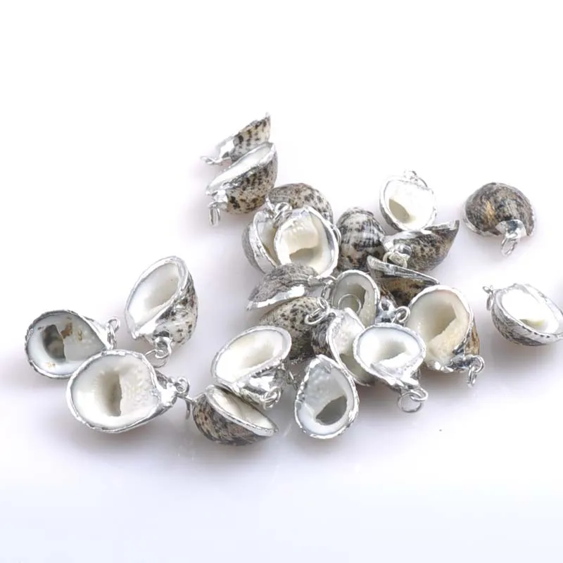 

At Random Natural Spiral Shell Charm with Silver Plated Edge for Jewelry Making 20-23mm 10pcs TRS0154