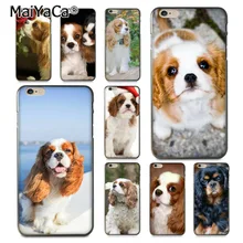coque iphone 6 chien king charles coque iphone 6 chien king charles