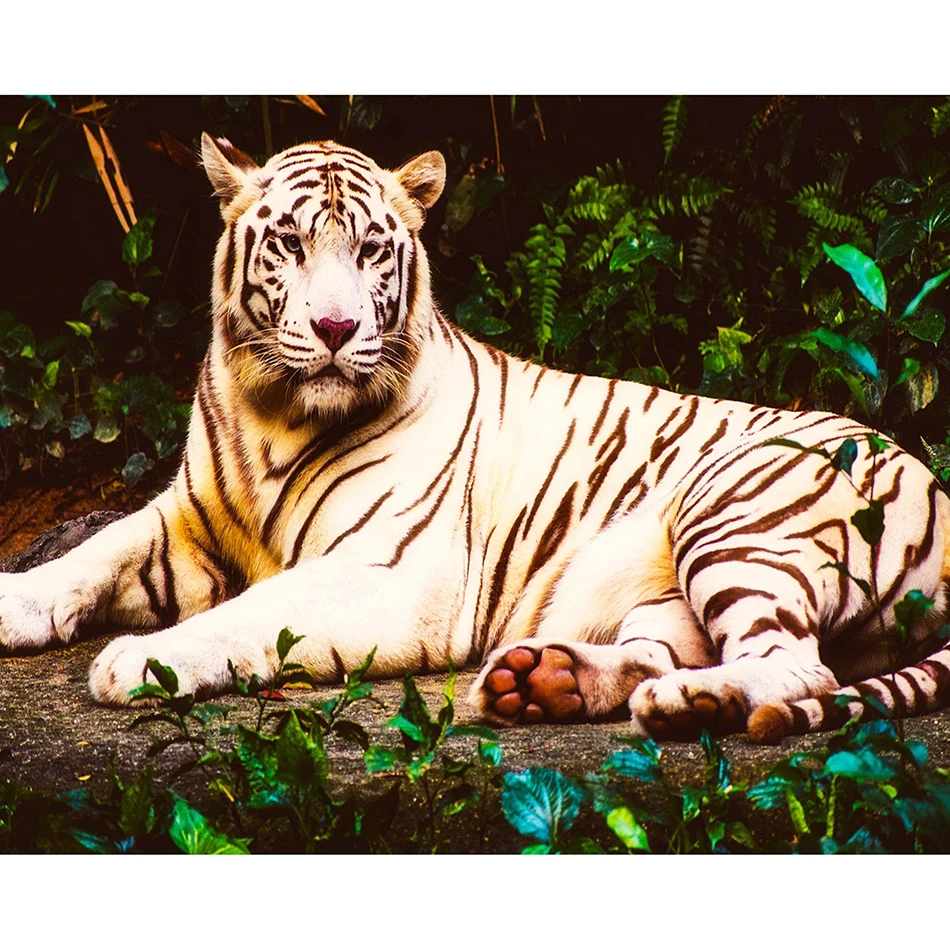 

Sashiko Tiger Animals Diamond Painting DIY 5D Full Round/square Cross Stitch Diamond Embroidery Patterns Home Decor Painting
