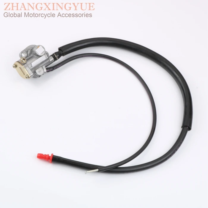 zhang1200029