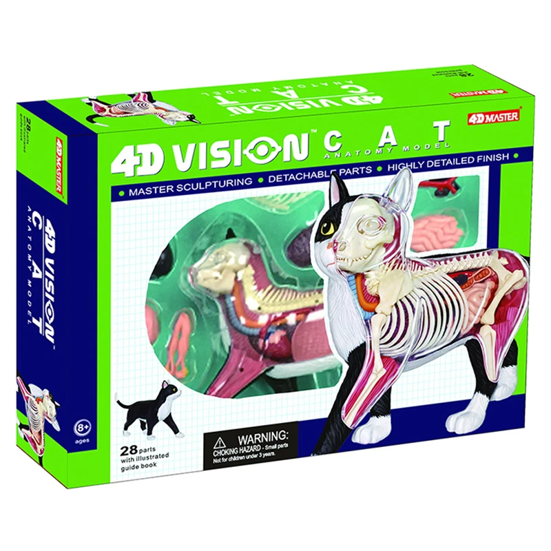 4D Master черно белая Анатомия кошки visceral skeleton модель сборки съемная животного