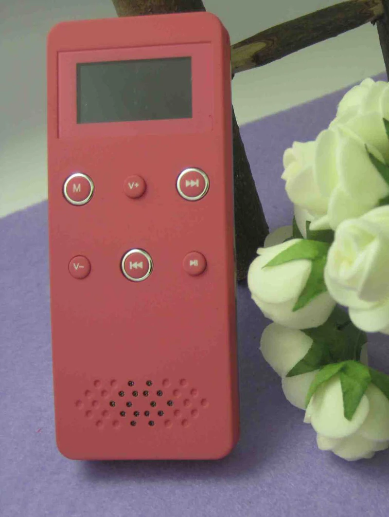 

HIFI MP3 player, lossless sound quality, card, memory, FM