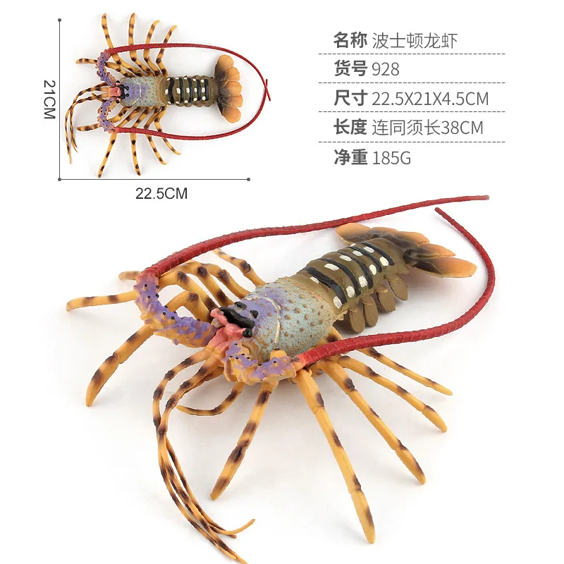  (1)