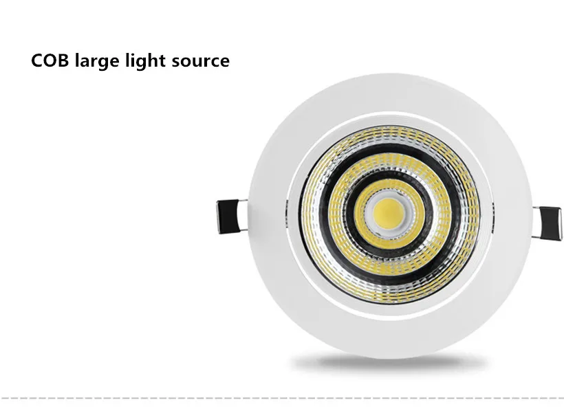 COB cell light (24)