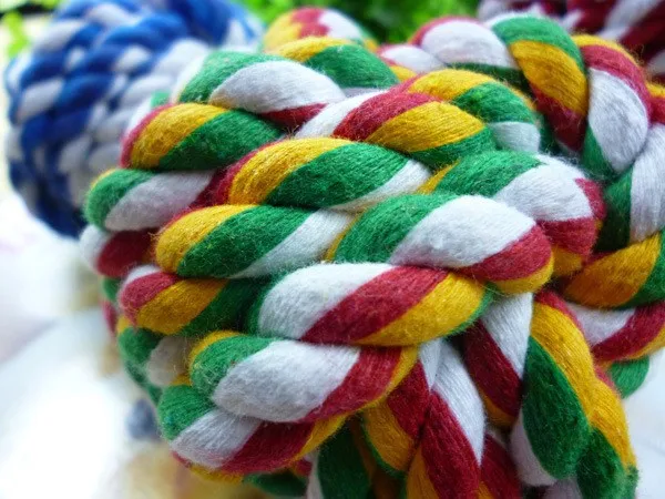 pet toy (2)