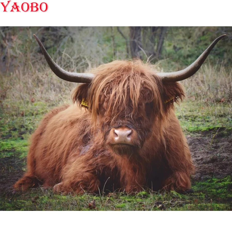 Полный квадрат алмазная вышивка животное Highland крупного рогатого скота картина