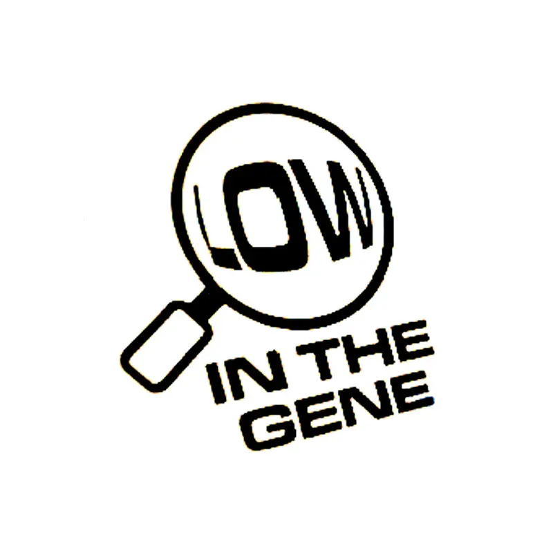 

9.4CM*10.3CM Low In The Gene Car Decal Graphic Sticker DUB JDM Drift Funny Race Car Stylings Car Sticker Black/Sliver C8-0227