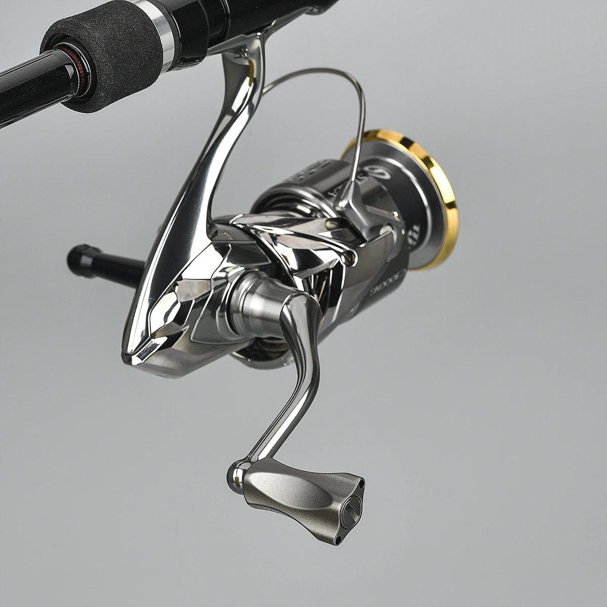 Knob para Shimano Carretel de Arremesso Gomexus Carretel Pega Daiwa Okuma Komodo ss Perfil Baixo 100 101 200 201 300 301 6g Ajuste Directo 3 Cheap Carretilhas de pesca