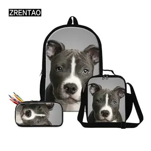 knapsack book bag