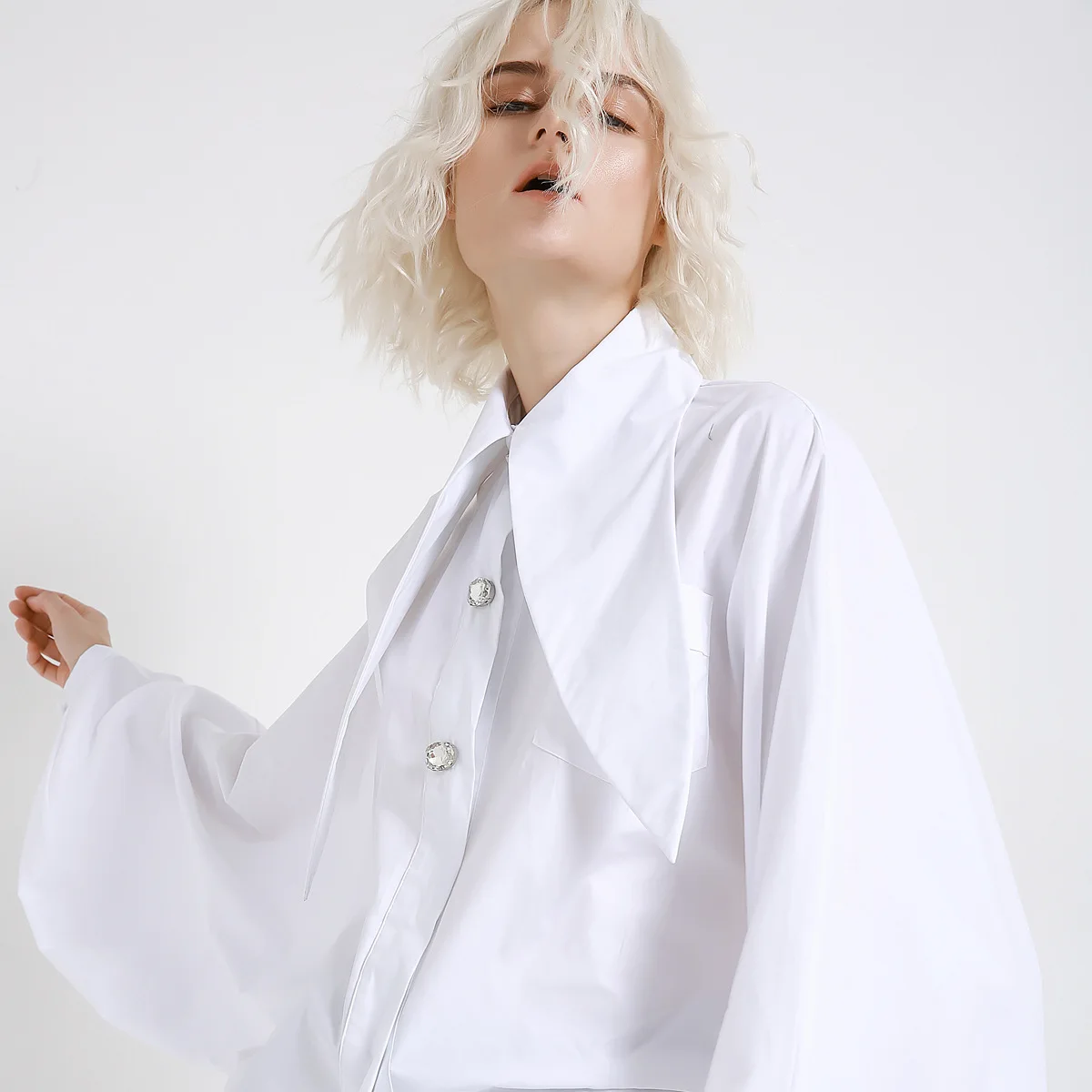 Women Tops 2019 New   Casual Broadcloth Full Sleeve Appliques Solid Turn-down Collar Women Blouses & Shirts S-l