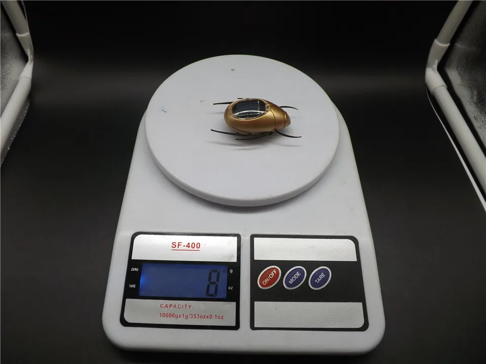 Solar-Scarab-Gold   (9)