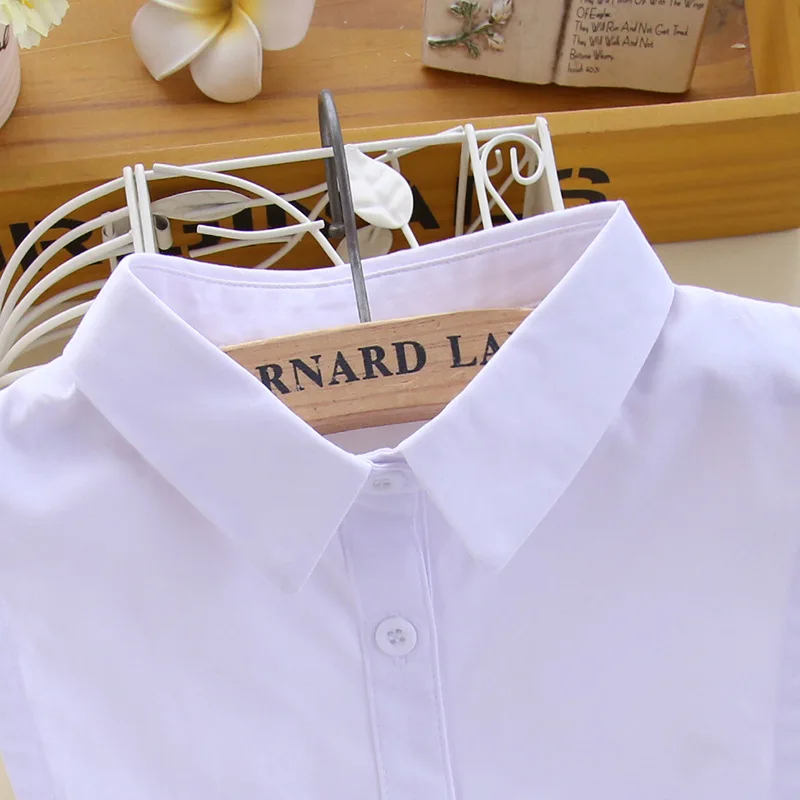 EF9FD9E7F0F0B0FFCDB84173E5F79614