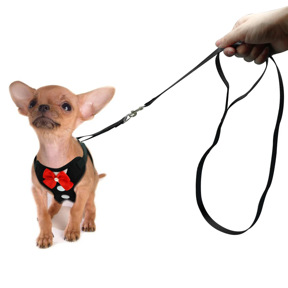 Pet Mesh For Dogs Pet Mesh For Dogs