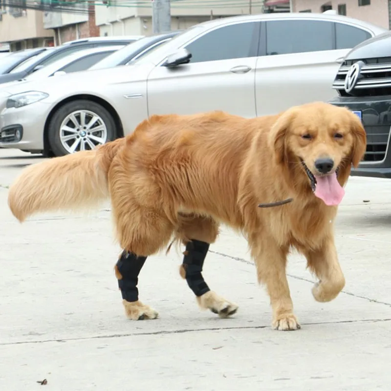 

Dog Pet Compression Sleeve For Rear Joint Wrap Protects Wounds And Postoperative Recovery Suture With Needle