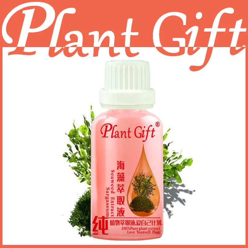 

Free shopping 100% pure plant Seaweed extract 30ml Vitamins A, B, C, E, amino acids skin care Sargassum