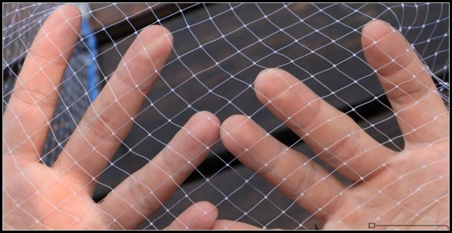 HTB1D6k4LXXXXXb0XXXXq6xXFXXXn