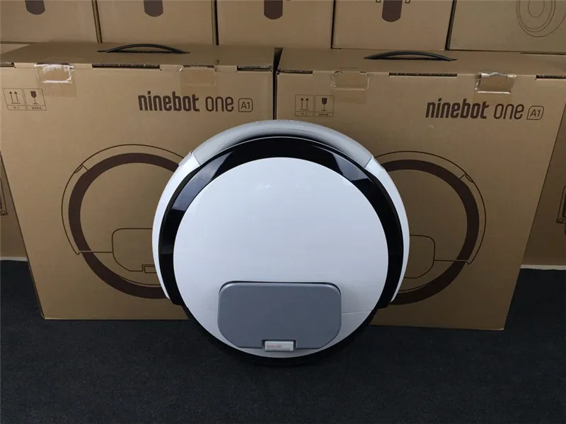Real Photo of Ninebot One A1 (4)