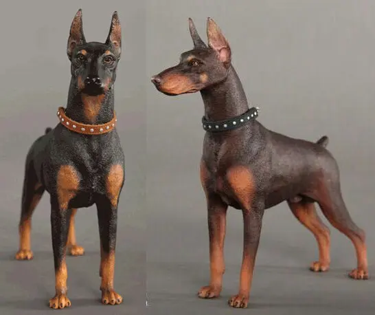 Compra doberman products online al por mayor de China