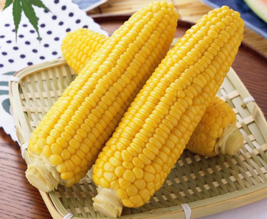 TB2yXlNjAqvpuFjSZFhXXaOgXXa_!!18139021