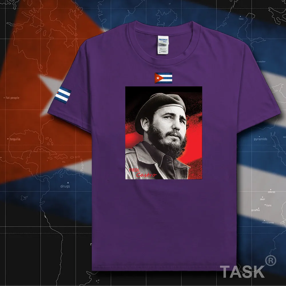 HSPE_Castro03_T01purple