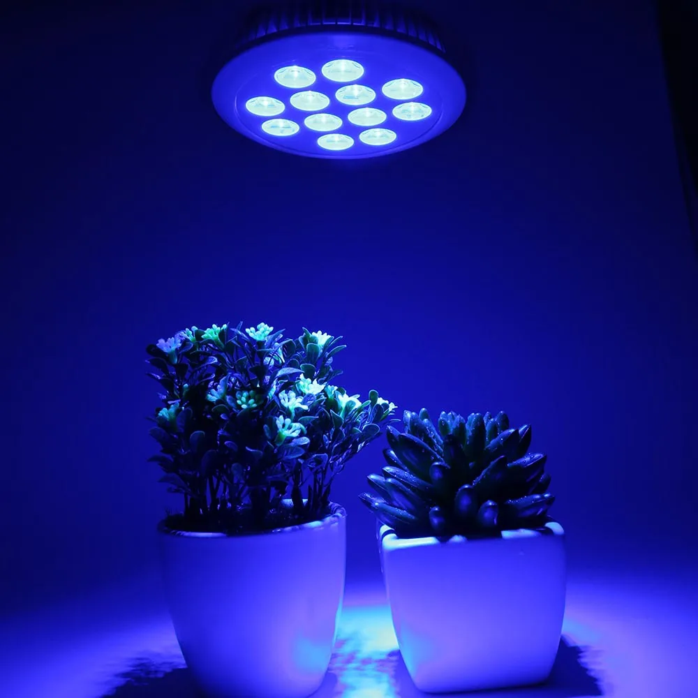 Full Blue E27 36w Led Grow Plant Light Bulb Fitolamp Hydroponics Phyto