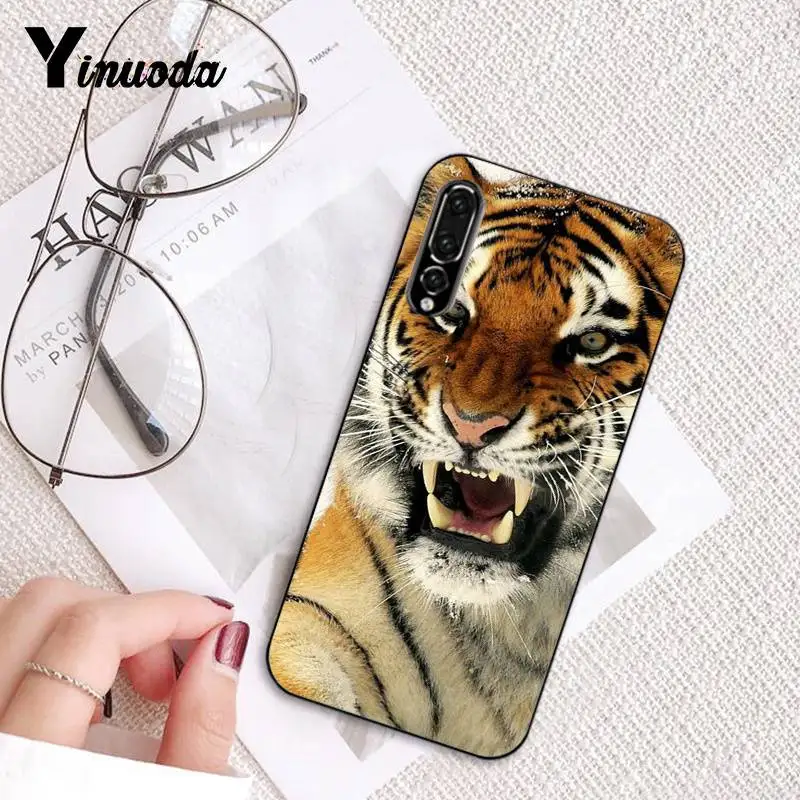 Russian version wolf tiger lion Leopard bear animal
