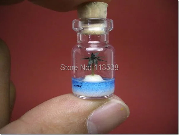 landscape-in-bottle-011.jpg
