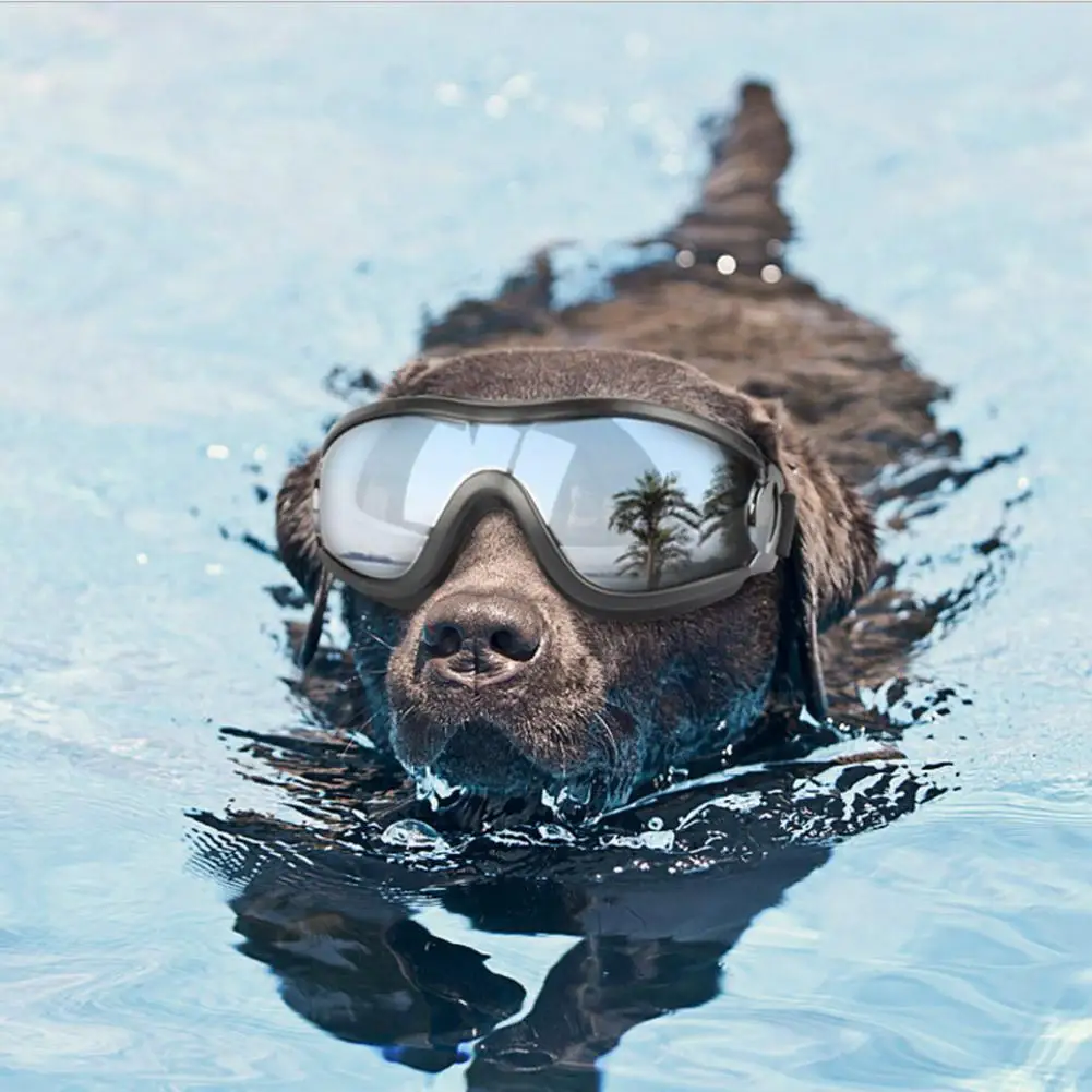 LanLan Pet Dog Goggle водонепроницаемые ультрафиолетовые защитные очки Защита для глаз