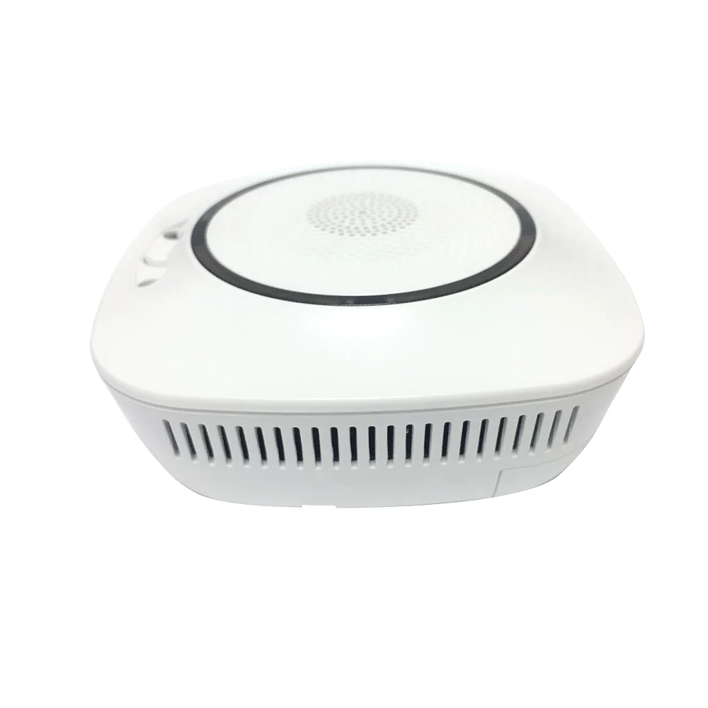 NEW standalone natural gas alarm coal gas leak detector with TUYA wireless WIFI function long range control smart home device