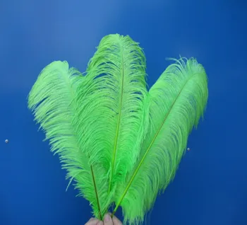 

Hot! 50 Pcs / lot feather long 14-16 inches / 35-40 cm green Color Ostrich Feathers party wedding DIY decorative