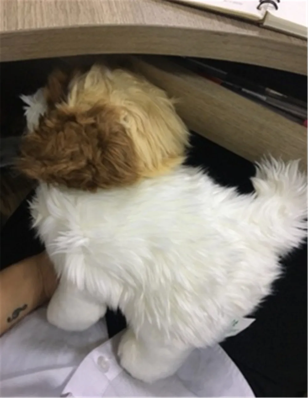 realistic stuffed shih tzu