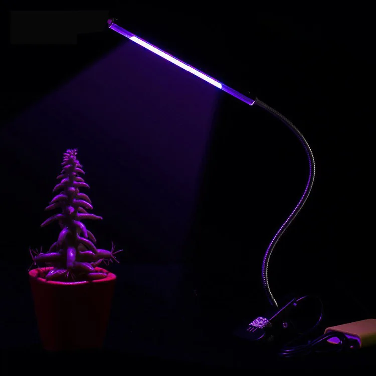 3764249426_955654139