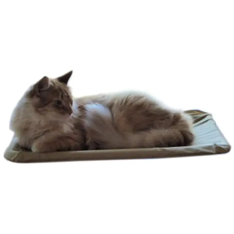 

Cat pet comfortable bed Terrace Easy attachment to window sucker type