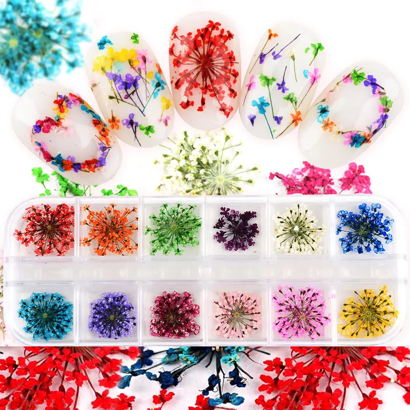 12 Colors DIY Nail Art Mixed Dried Flowers With Bottle 3D Dry Flower Decoration Nails Stickers Mani