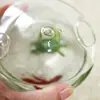 Mushroom-shaped Hanging Glass Planter Vase Rumble Fish Tank Terrarium Container Home Garden Decor 5
