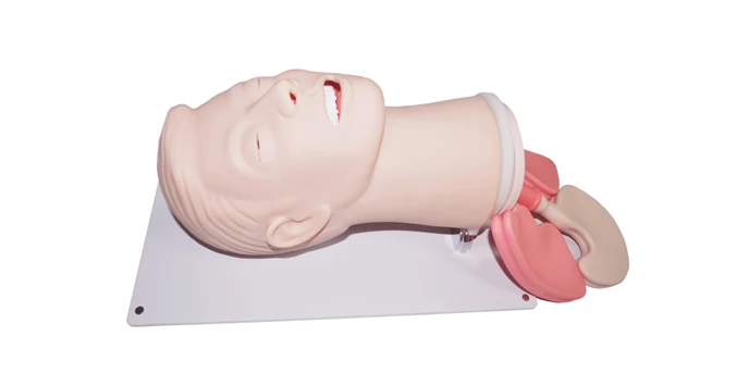 

Nursing mode can both nasal and oral intubation and laryngospasm,Advanced multi-functional airway management model-GASEN-FAM0001