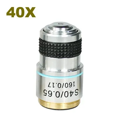 40