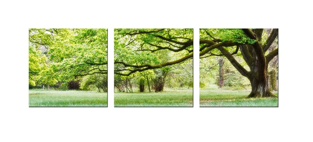 

3 Piece Canvas Wall Art Green Big Pleasant Tree Painting Picture Print On Canvas poster Wall Picture For Living Room wall decor