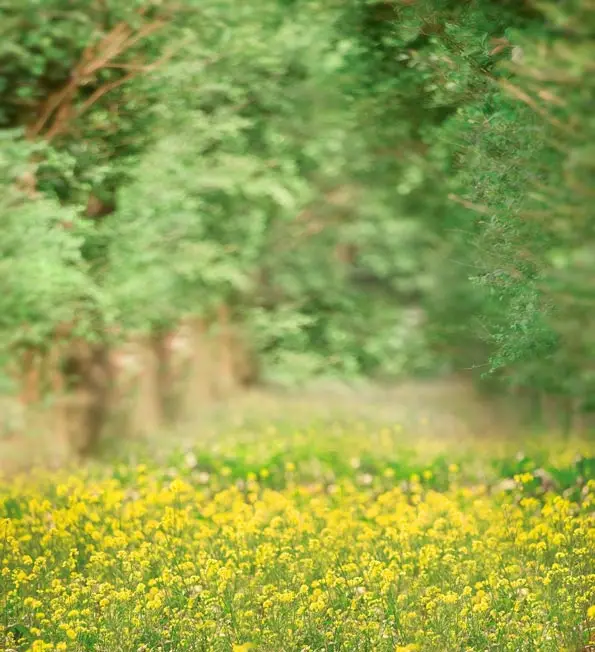 YOTEBO Photography Backdrops Canola Flower Sea Background Cm-3869 | Электроника