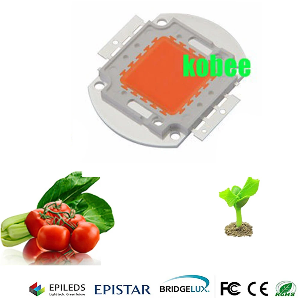 100 Вт полный спектр 400 ~ 840nm SMD LED лампа BridgeLux для выращивания растений | Лампы и