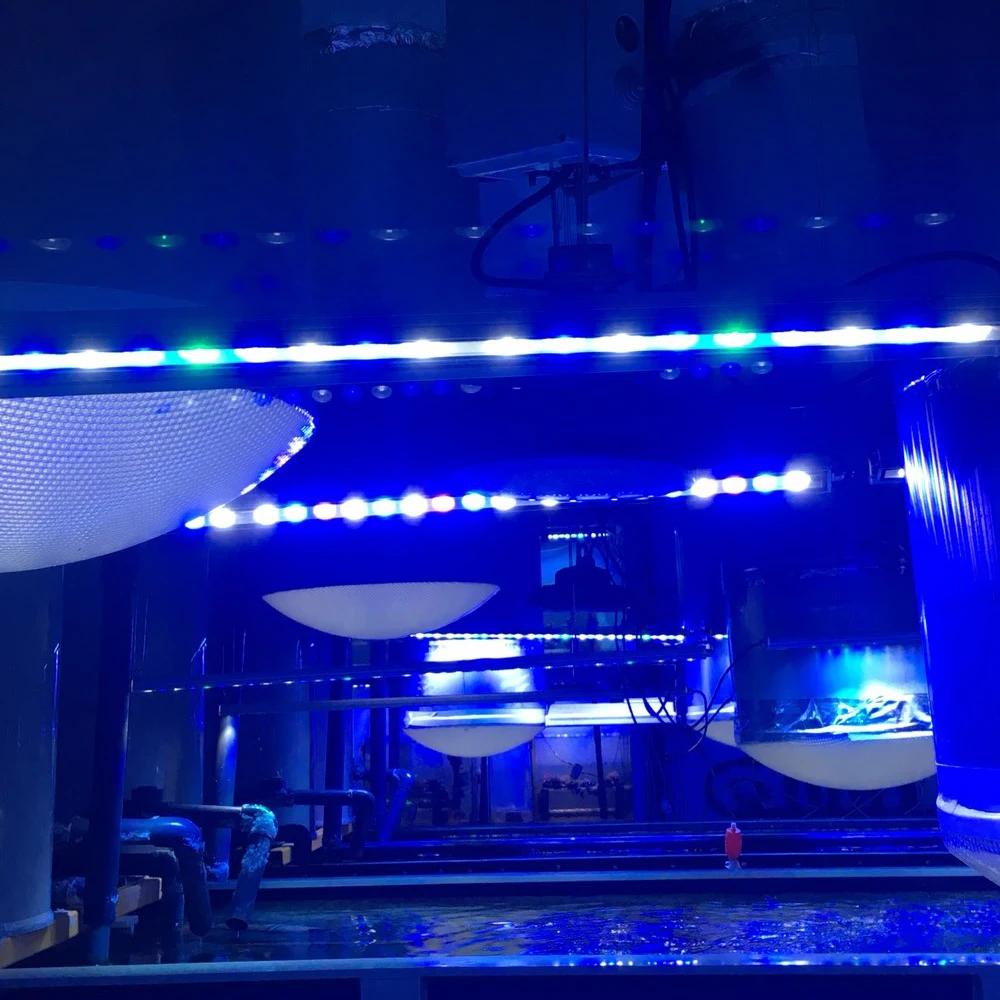 Populargrow 54 Вт/81 Вт/108 Вт Светодиодный светильник для аквариума высокой мощности Светодиодный светильник для аквариума красивый ваш коралловый риф лампа для аквариума