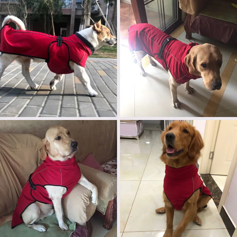 Собачий Щенячий жилет для питомцев, куртка для чихуахуа, теплая одежда для собак на осень и зиму, пальто для маленьких, средних и больших собак