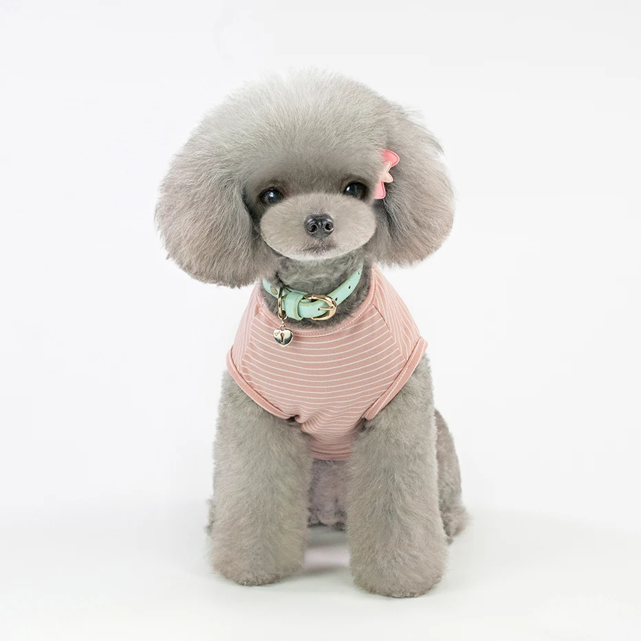 WeChat Image_20190224205030