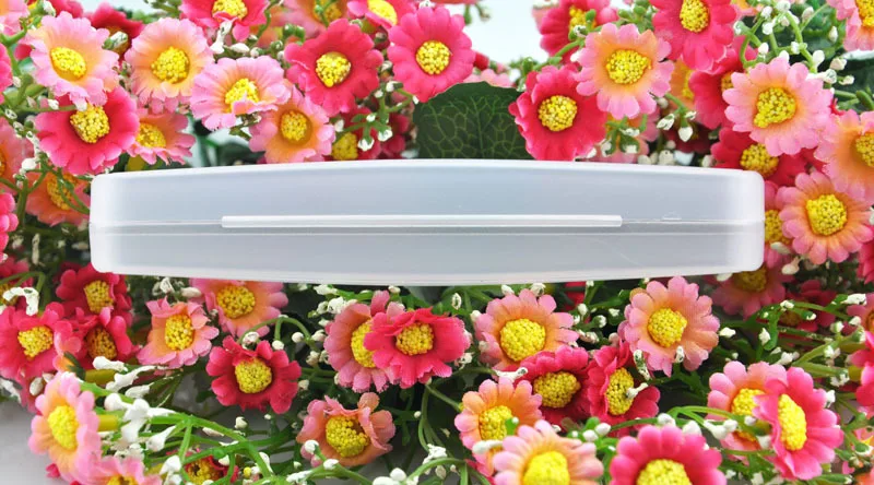 2237783928_488331743